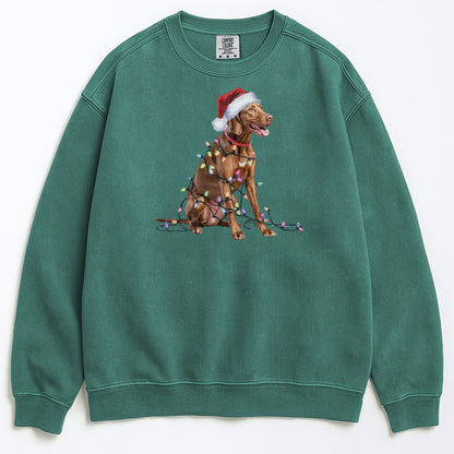 Christmas Vizsla Sweatshirt, Christmas Lights Dog
