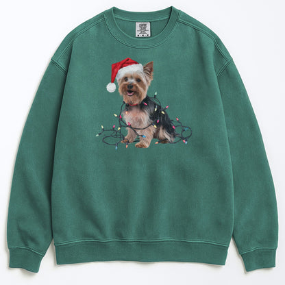 Christmas Yorkshire Terrier Sweatshirt, Christmas Lights Dog