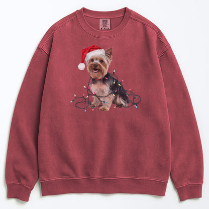 Christmas Yorkshire Terrier Sweatshirt, Christmas Lights Dog