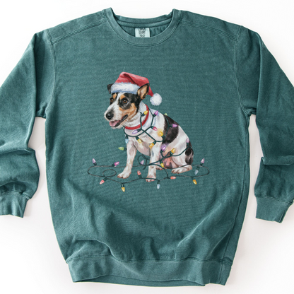 Rat Terrier Christmas Lights Sweatshirt, Festive Dog Lover Apparel