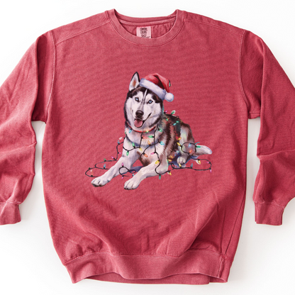 Siberian Husky Christmas Lights Sweatshirt, Festive Dog Lover Gift