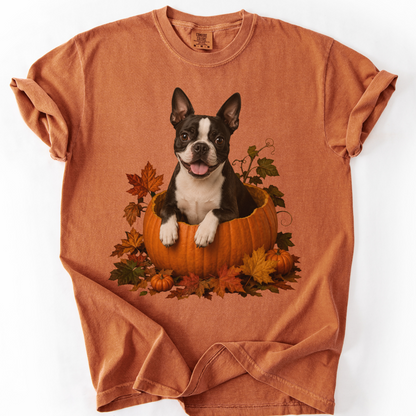 Boston Terrier Pumpkin Shirt, Cute Fall Dog Lover Tee on Comfort Colors