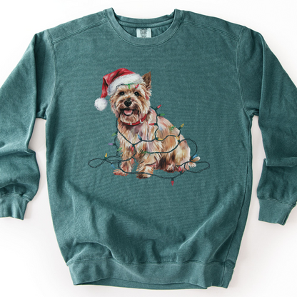 Cairn Terrier Christmas Lights Sweatshirt