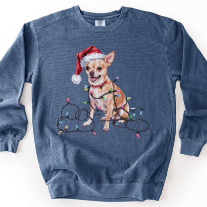Tan Chihuahua Christmas Lights Sweatshirt