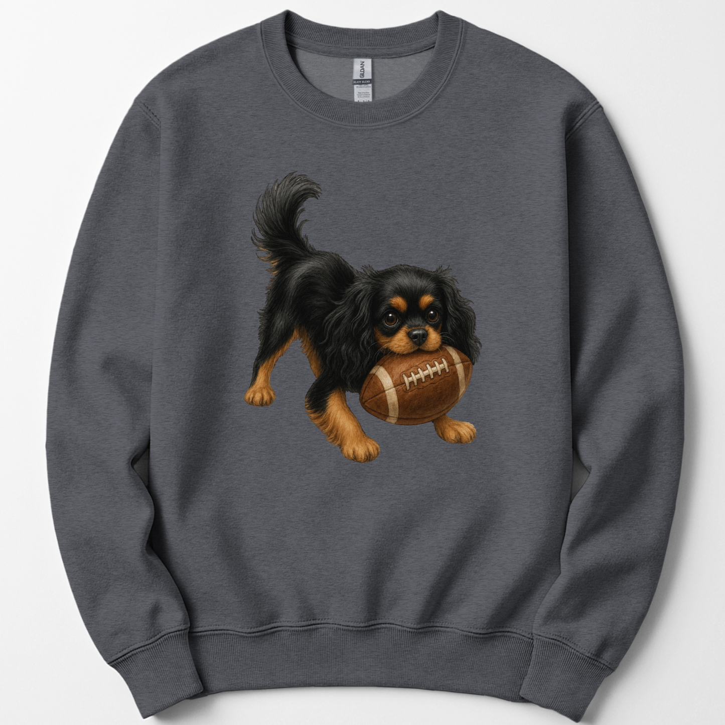 Black and Tan Cavalier Football Sweatshirt Cute Dog Lover Game Day Crewneck Gift Shirt