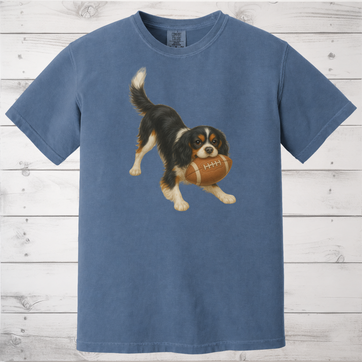 Tricolor Cavalier Football Shirt