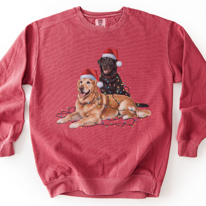 Black Lab and Golden Retriever Christmas Lights Sweatshirt