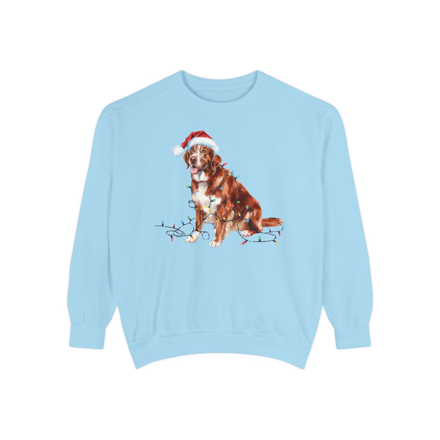 Christmas Nova Scotia Duck Tolling Retriever Sweatshirt, Christmas Lights Dog, Nova Scotia Duck Tolling Retriever Mom, Gift for Dog Lover