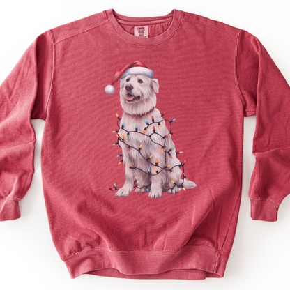 Kuvasz Christmas Lights Dog Sweatshirt