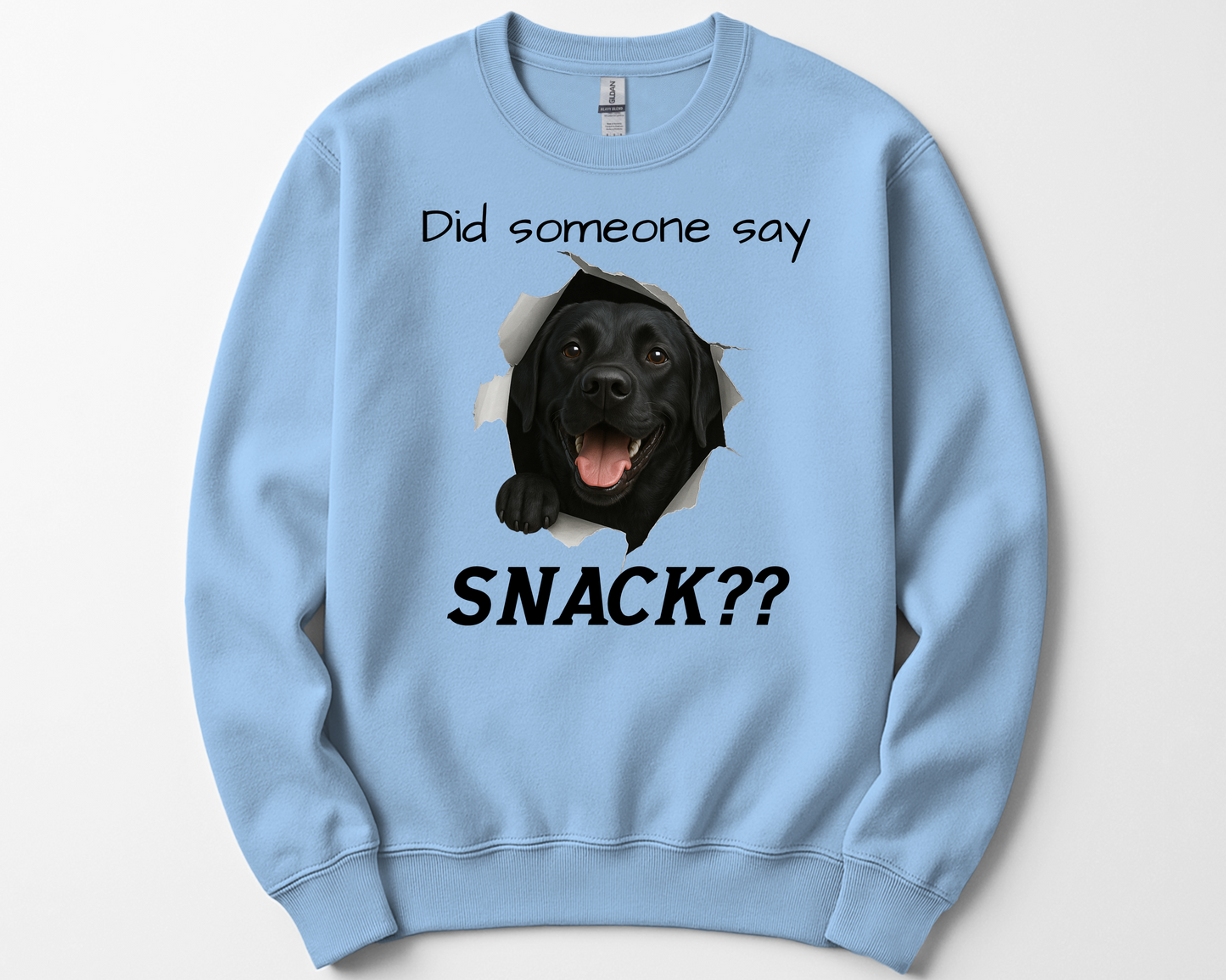 Did Someone Say Snack?? Funny Labrador Retriever Sweatshirt (Black, Chocolate, Fox Red & Yellow Labs)