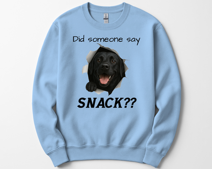 Did Someone Say Snack?? Funny Labrador Retriever Sweatshirt (Black, Chocolate, Fox Red & Yellow Labs)