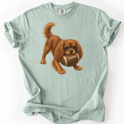 Ruby Cavalier Football Shirt