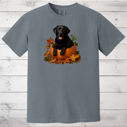 Black Lab Pumpkin Shirt