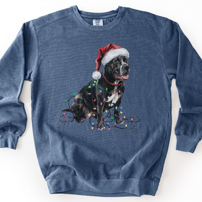 Cane Corso Christmas Lights Sweatshirt