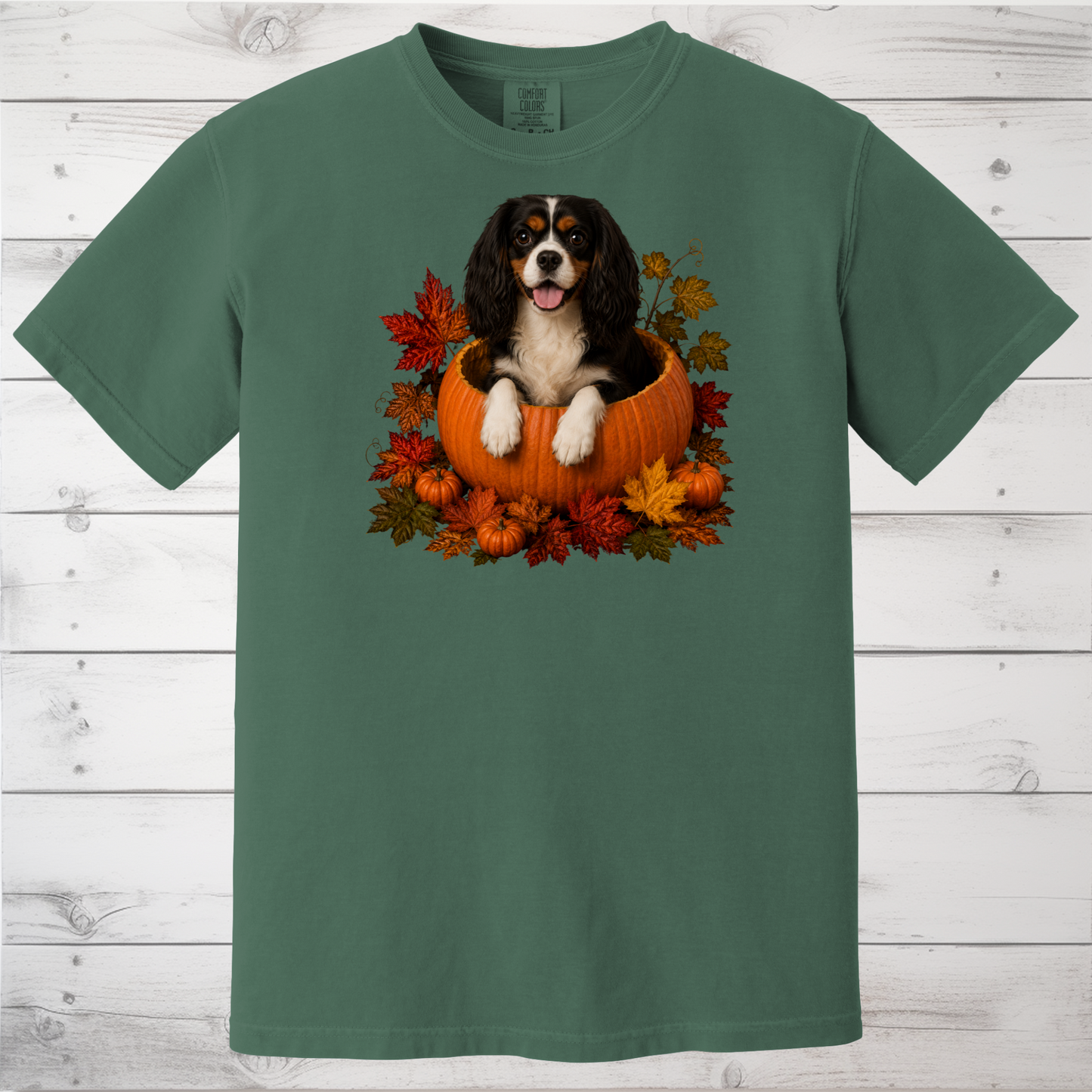 Tricolor Cavalier Pumpkin Shirt