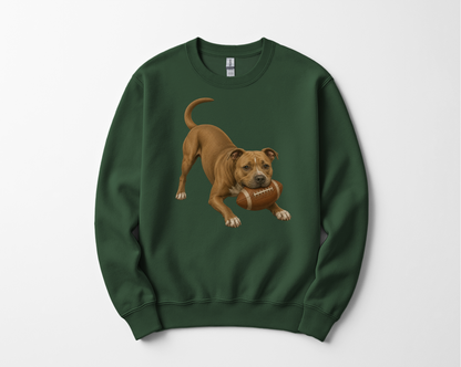Pitbull Football Sweatshirt