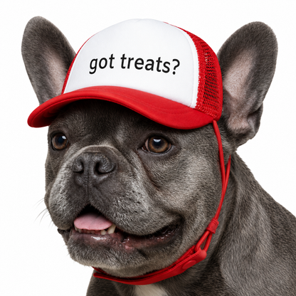 Funny Got Treats Dog Trucker Hat Personalized Puppy Baseball Cap Gift