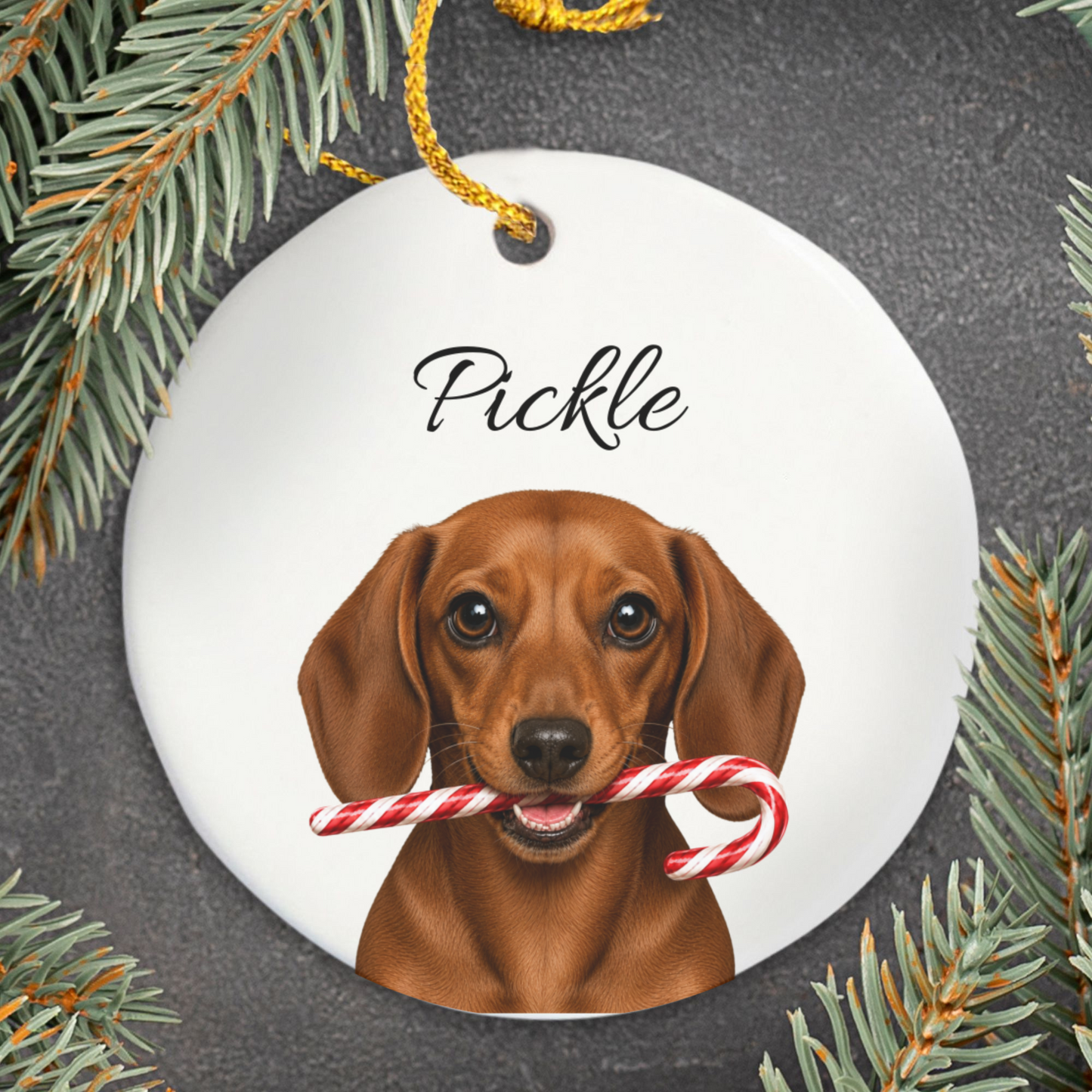 Personalized Red Dachshund Candy Cane Ornament