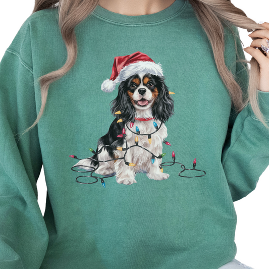 Tri-color Cavalier Christmas Lights Sweatshirt