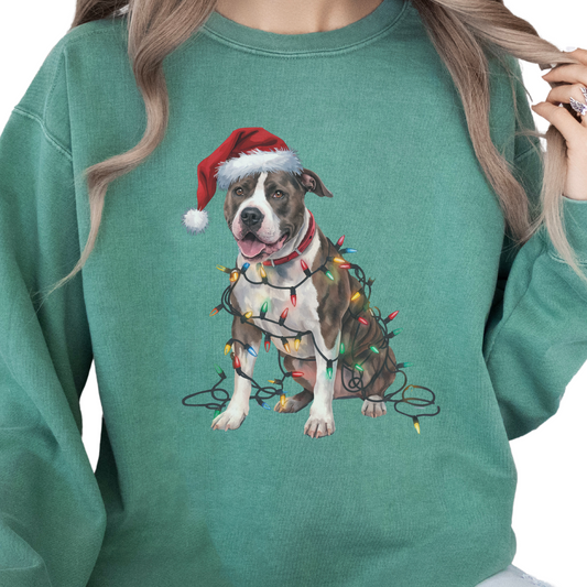 Christmas Pitbull Sweatshirt, Festive Lights Dog Sweater, Pitbull Mom Holiday Apparel