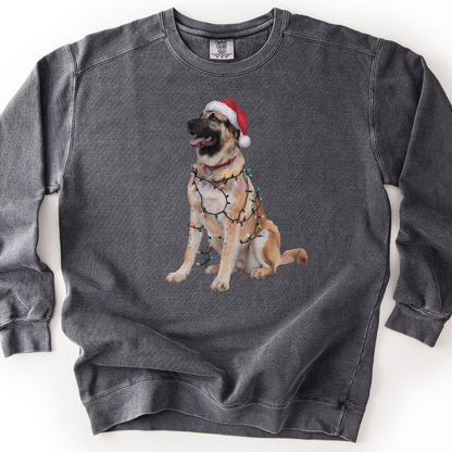 Anatolian Shepherd Christmas Lights Sweatshirt, Holiday Dog Lover Gift