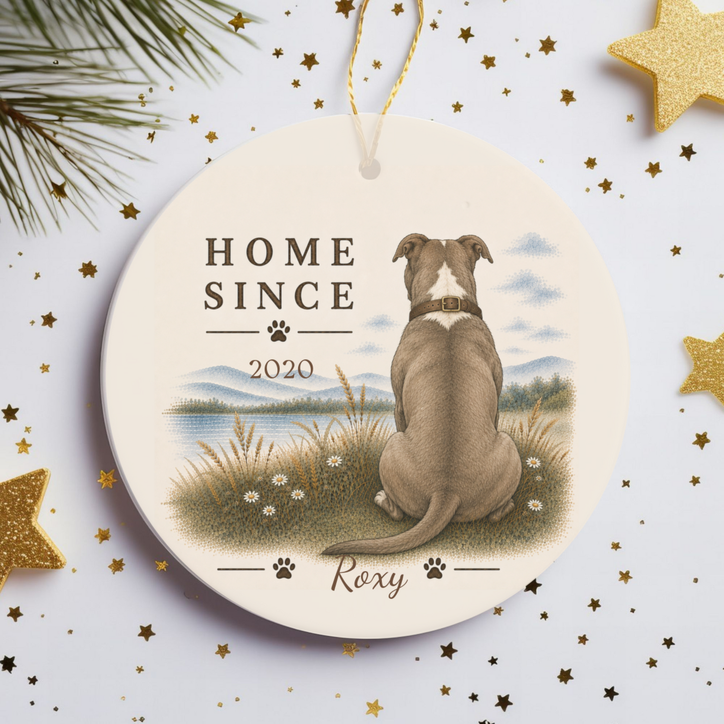 Personalized Pit Bull Ornament, Double Sided Gotcha Day Gift, Custom Dog Keepsake