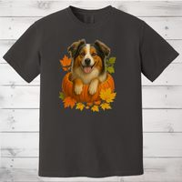 Load image into Gallery viewer, Australian Shepherd Pumpkin Fall Shirt
