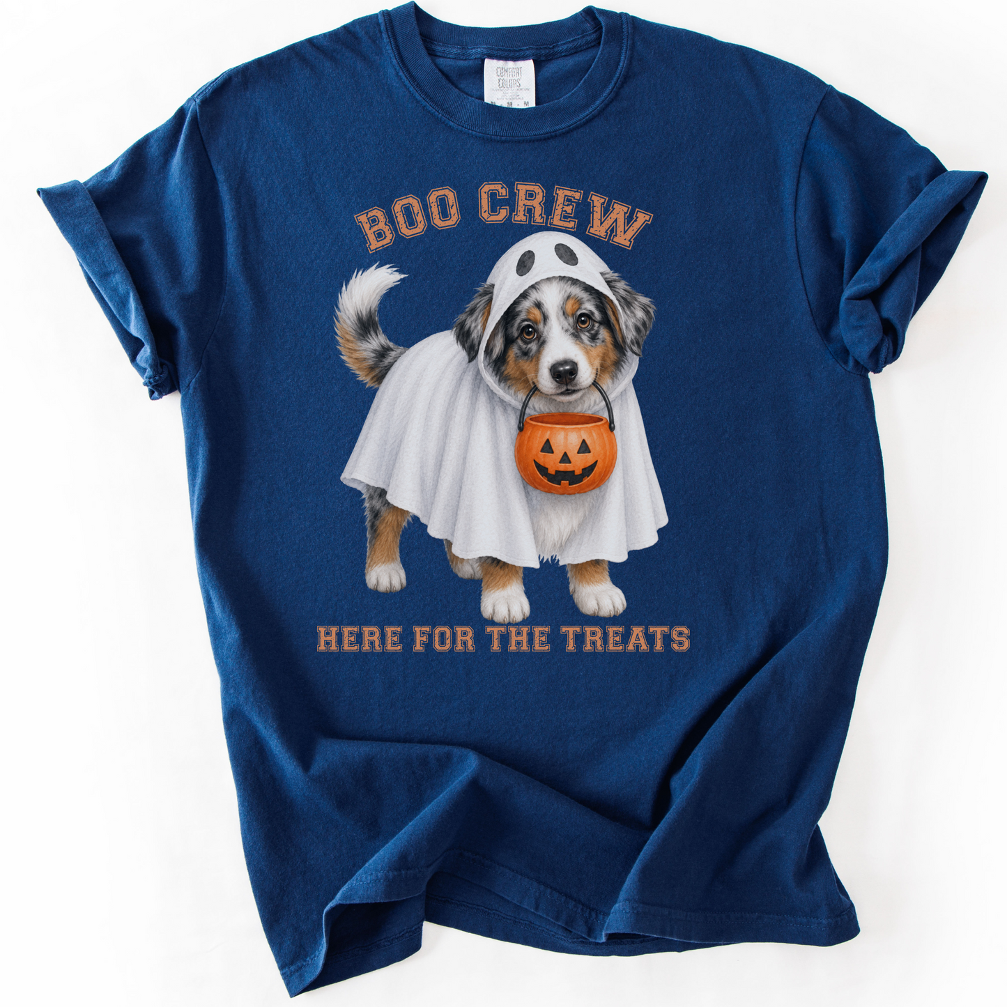 Australian Shepherd Boo Crew Halloween Shirt, Here for the Treats Dog Mom Tee