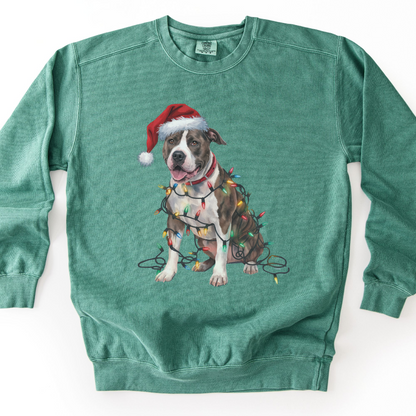 Christmas Pitbull Sweatshirt, Festive Lights Dog Sweater, Pitbull Mom Holiday Apparel