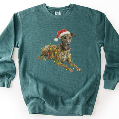 Brindle Greyhound Christmas Lights Sweatshirt