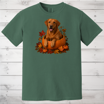 Fox Red Lab Pumpkin Shirt