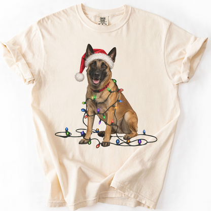 Belgian Malinois Christmas Lights Dog Shirt