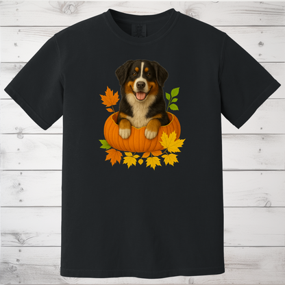 Bernese Mountain Dog Pumpkin Shirt