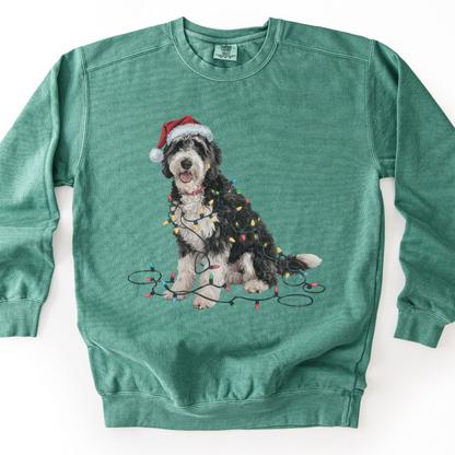 Labradoodle Christmas Lights Sweatshirt