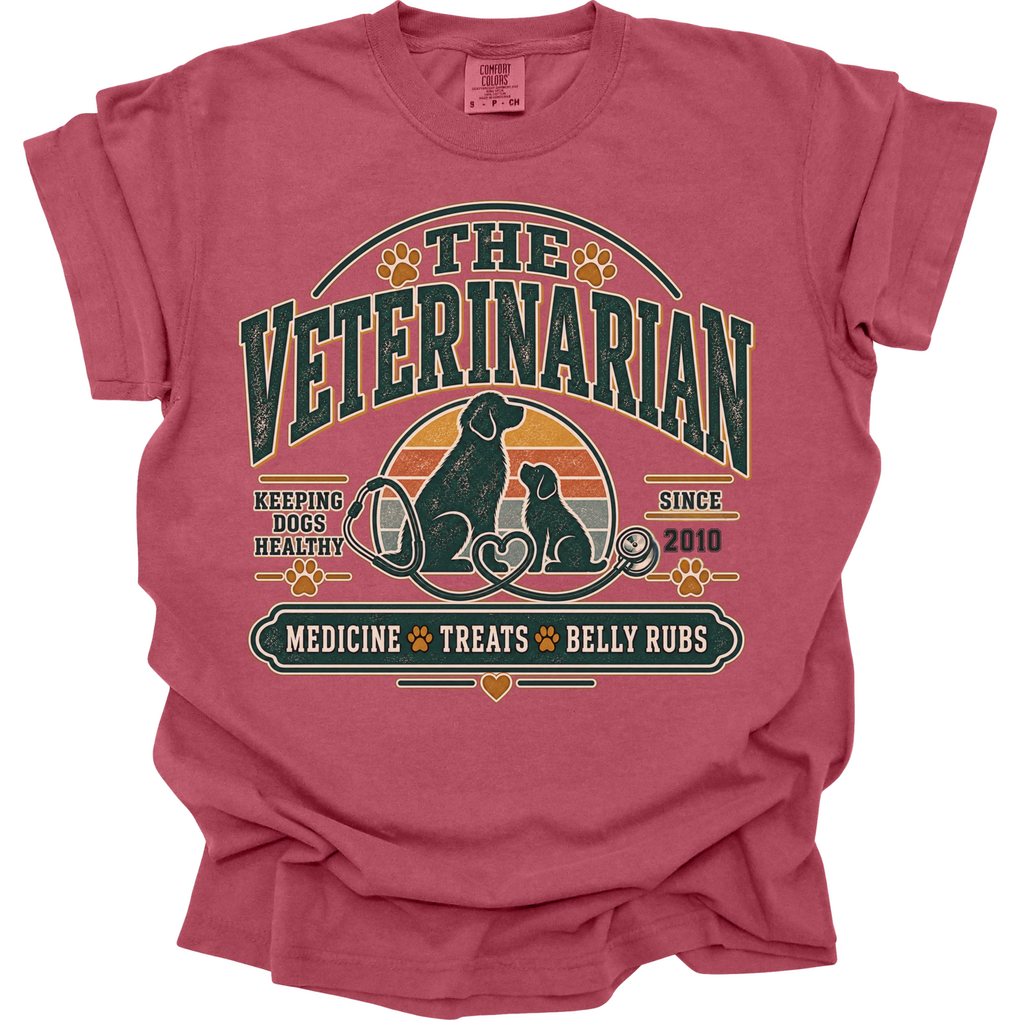 Personalized Veterinarian Shirt, Custom Vet Gift, Veterinary Medicine Tee, Dog Doctor, Vet Graduation Gift
