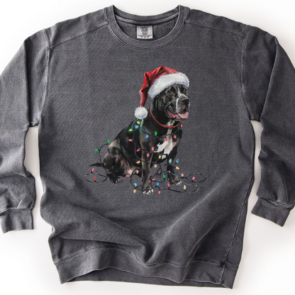 Cane Corso Christmas Lights Sweatshirt