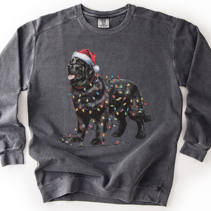 Newfoundland Dog Christmas Lights Sweatshirt, Festive Black Newf Sweater