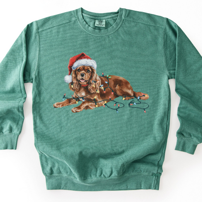 Ruby Cavalier Christmas Lights Sweatshirt