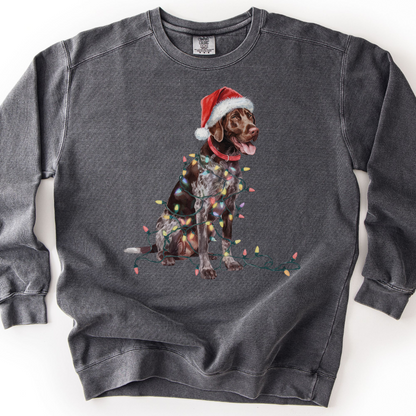 German Shorthaired Pointer Christmas Lights Sweatshirt