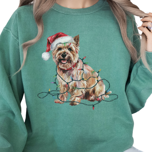 Cairn Terrier Christmas Lights Sweatshirt