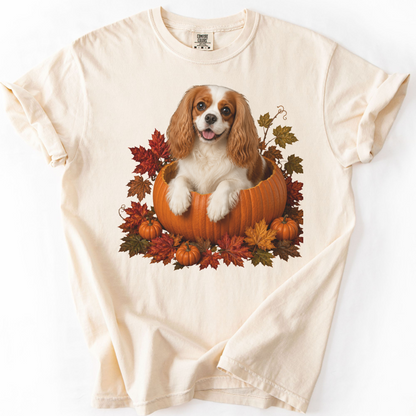 Blenheim Cavalier Pumpkin Shirt Fall Dog Lover Autumn Comfort Colors Graphic Tee Gift Apparel
