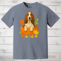 Load image into Gallery viewer, Basset Hound in Pumpkin Fall Shirt/Sweatshirt
