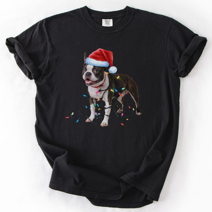 Boston Terrier Christmas Lights Shirt, Fun Holiday Tee for Terrier Lovers