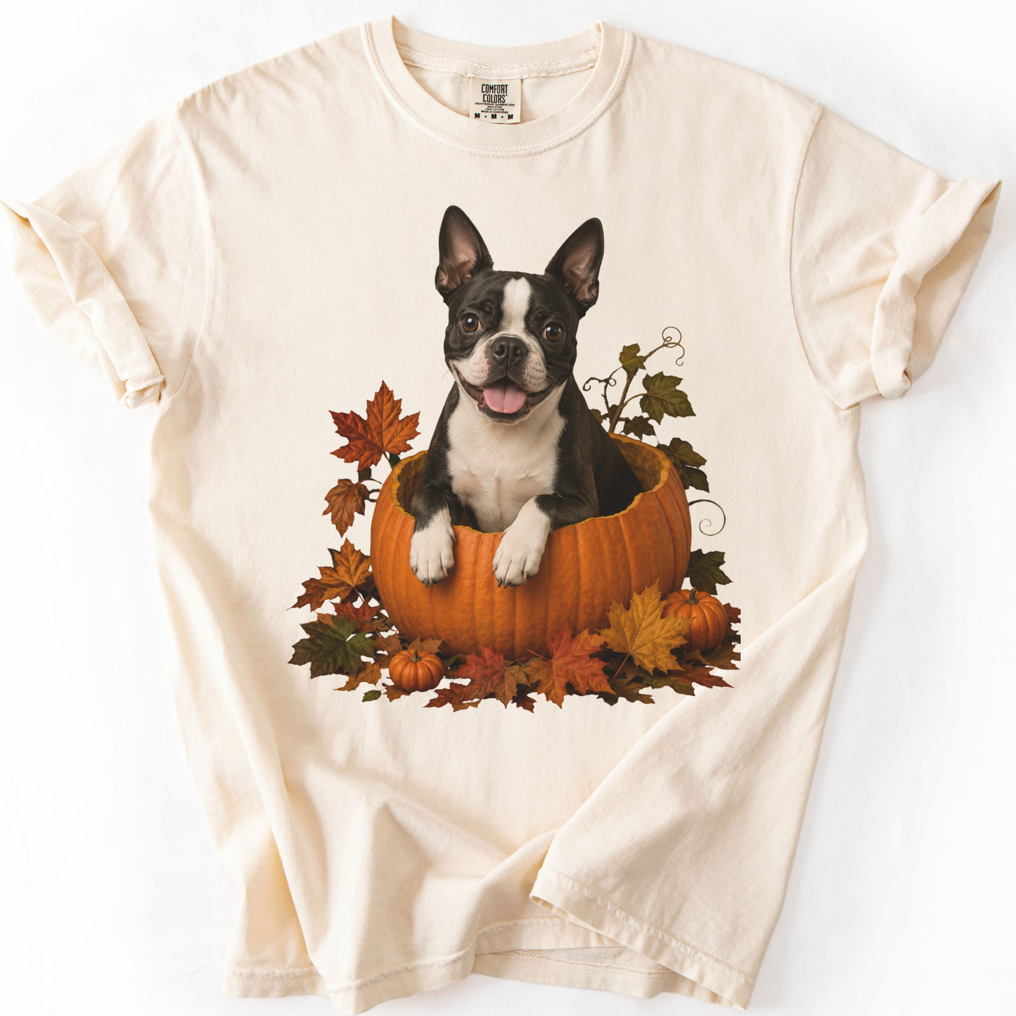 Boston Terrier Pumpkin Shirt, Cute Fall Dog Lover Tee on Comfort Colors