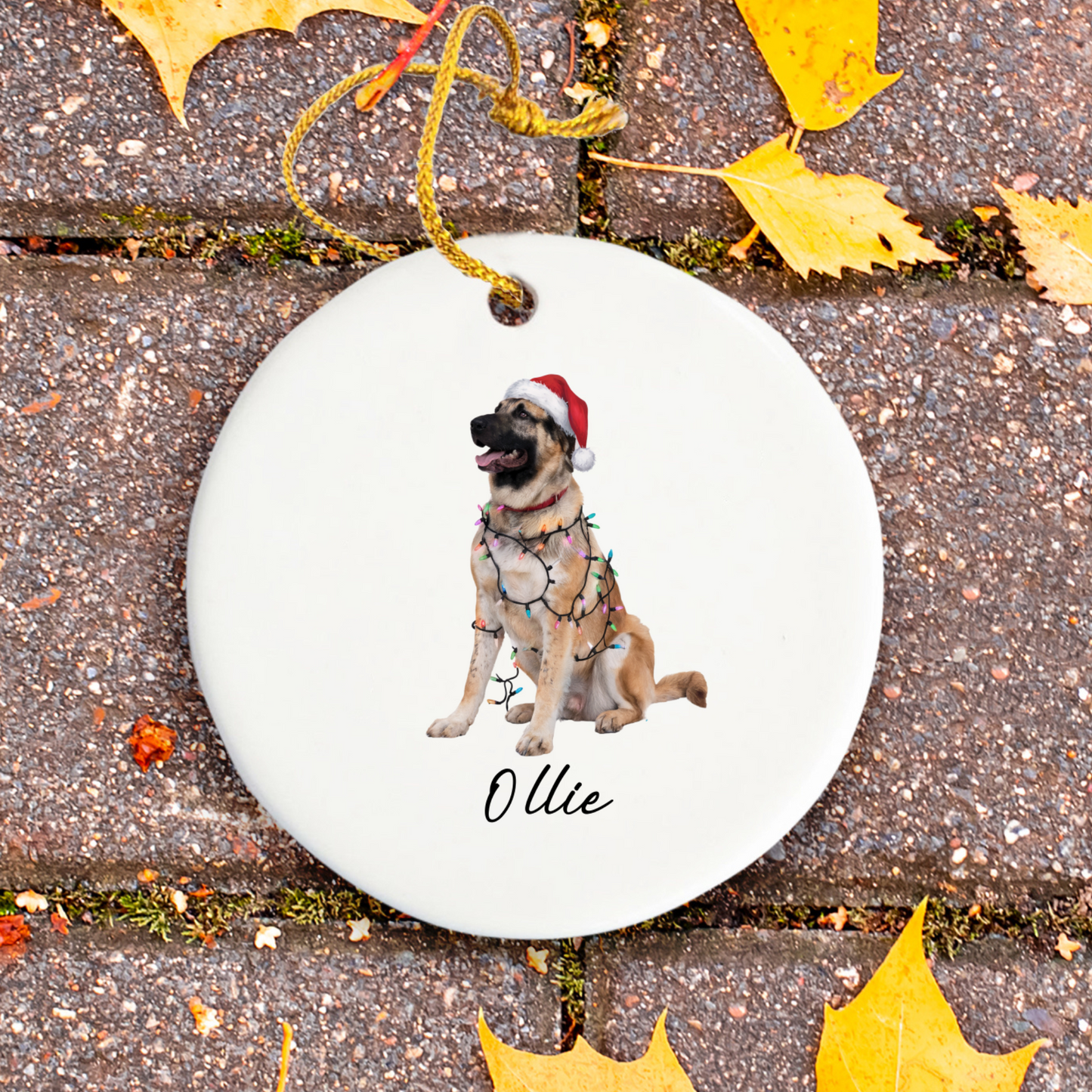 Personalized Anatolian Shepherd Christmas Ornament, Dog Lover Holiday Pet Keepsake