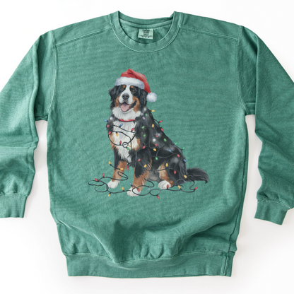 Christmas Bernese Mountain Dog Sweatshirt, Holiday Lights Dog Lover Apparel
