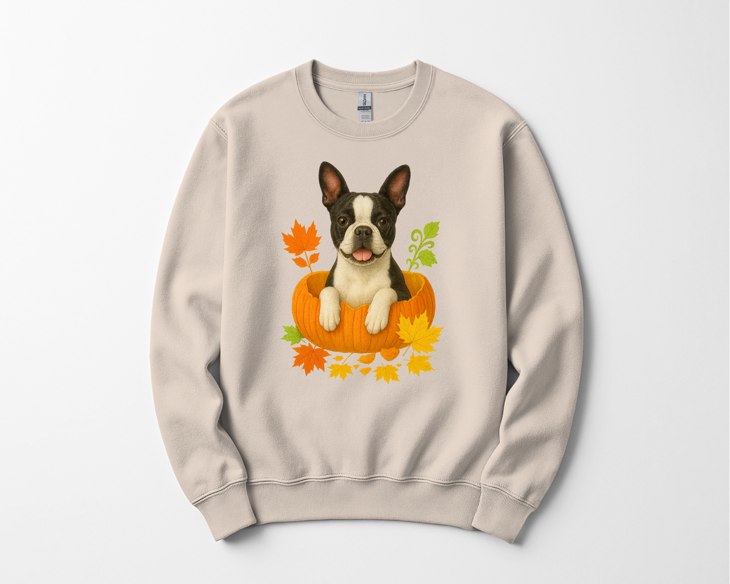 Boston Terrier Pumpkin Shirt