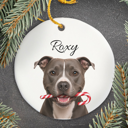 Personalized Pitbull Candy Cane Ornament