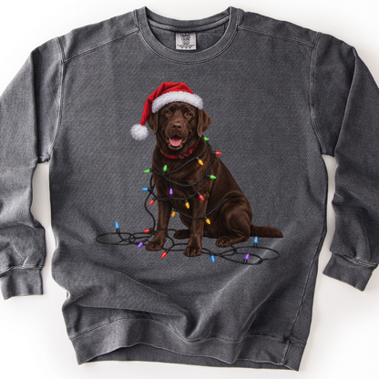 Chocolate Lab Christmas Lights Sweatshirt
