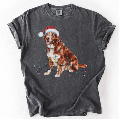 Christmas Nova Scotia Duck Tolling Retriever Shirt, Christmas Lights Dog Tee, Christmas Dog Tee, Retriever Mom Tshirt, Gift for Dog Lover